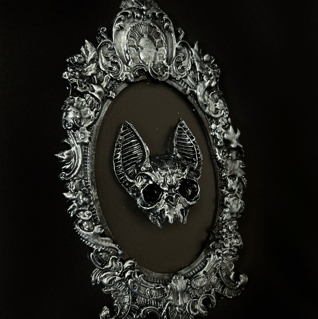 Echo frame