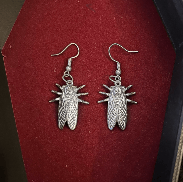 Cicada earrings