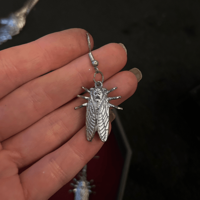 Cicada earrings