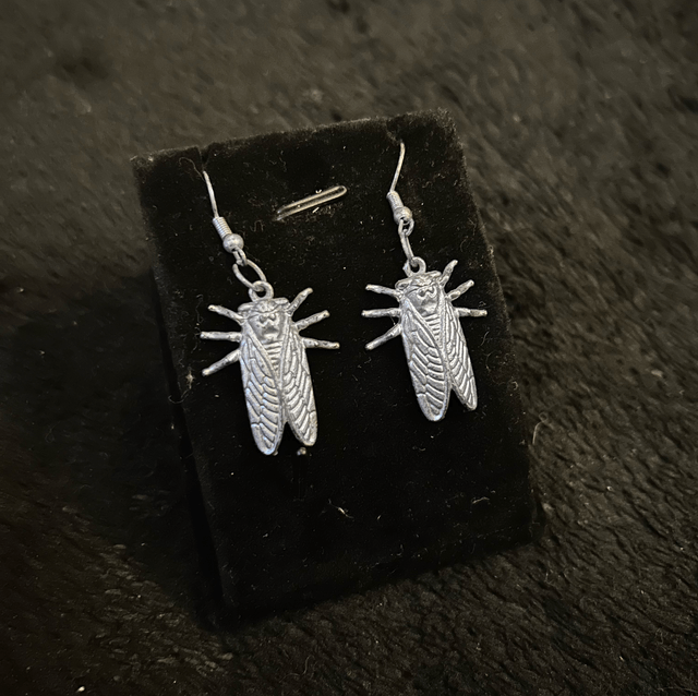 Cicada earrings