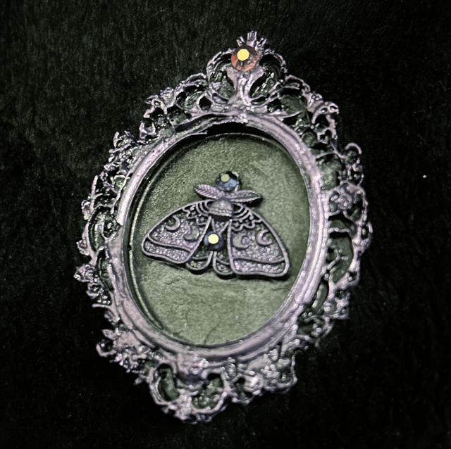 Umbra brooch/clip