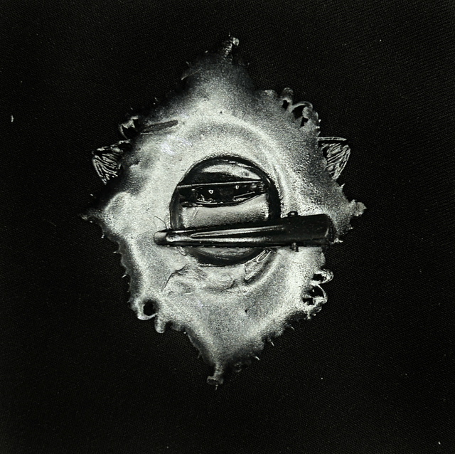 Serpentia brooch/clip