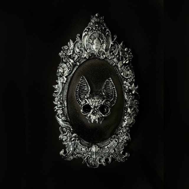 Echo frame