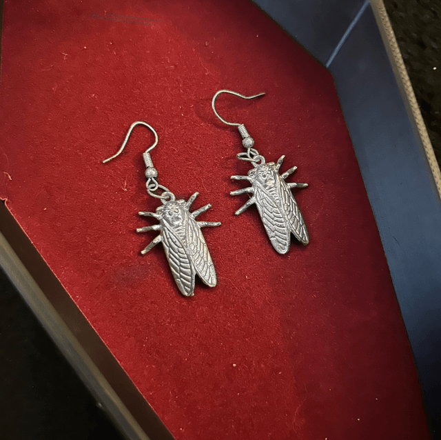 Cicada earrings