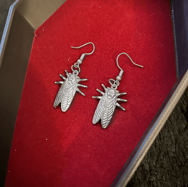 Cicada earrings