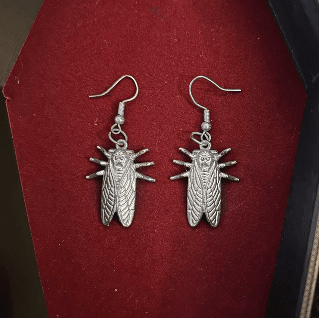 Cicada earrings