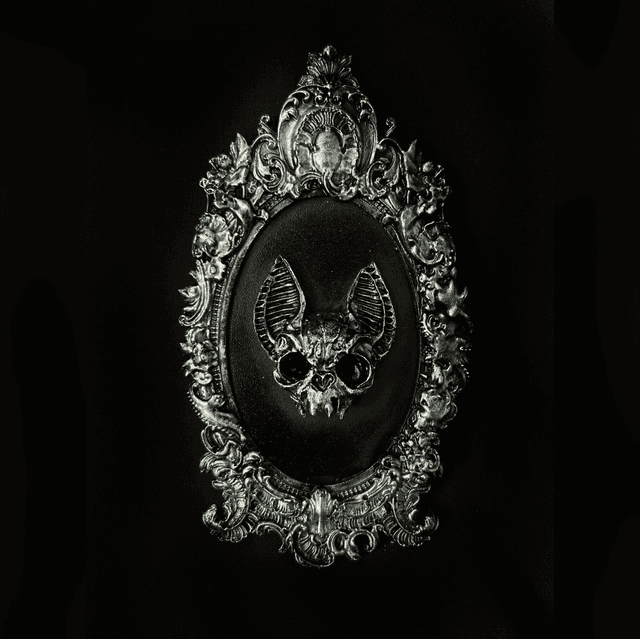 Echo frame